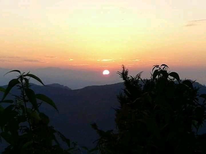 Yuma D Homestay *